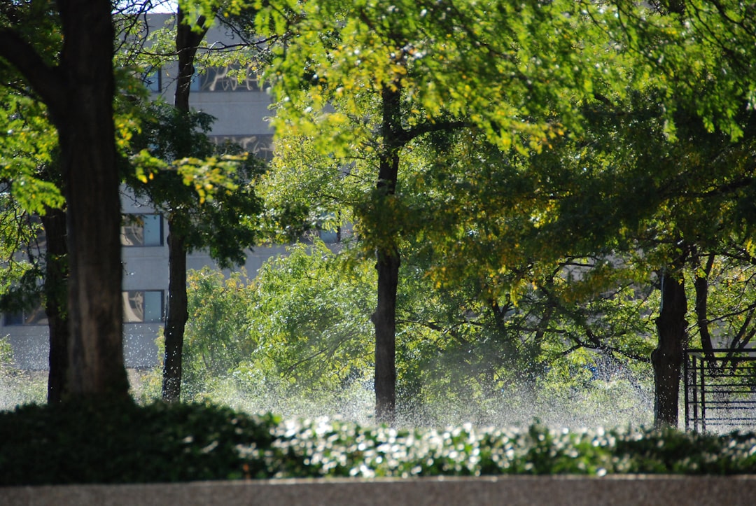 How Kansas Heat and Humidity Make Your AC Work Harder 101