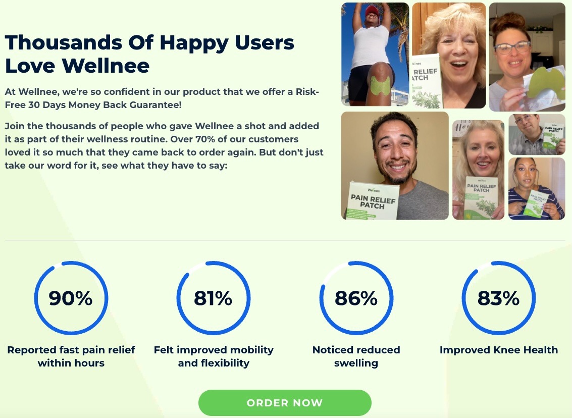 Wellnee-Pain-Relief-Patches