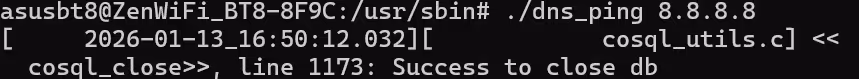 Running ./dns_ping 8.8.8.8 produces only a close-db log