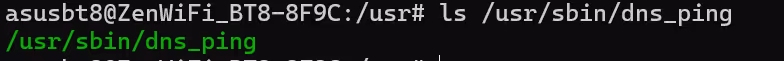 ls /usr/sbin/dns_ping on the router