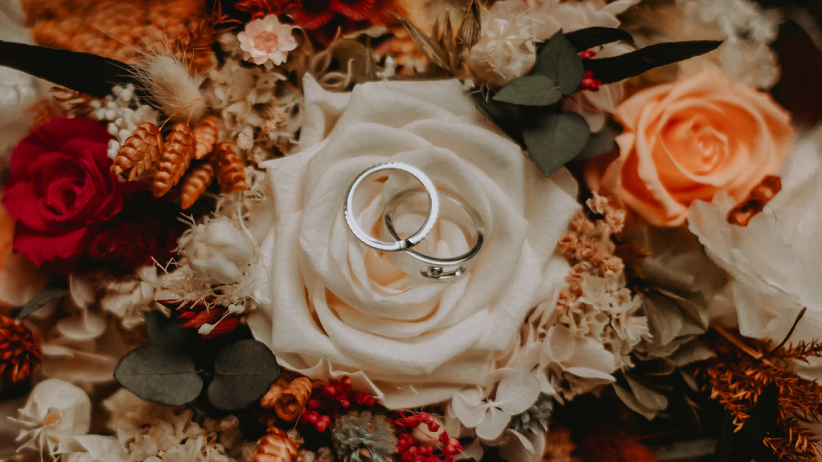 Alliances posées sur une rose blanche entourée de fleurs séchées lors d’un mariage à La Ferme Marie Hélène.
