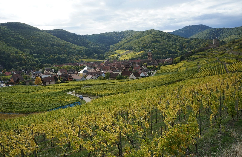Paysage vallonné de vignobles en Alsace avec un village niché au pied des montagnes verdoyantes.