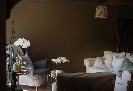 Salon cosy et raffiné avec un canapé blanc et des orchidées, illustrant le charme rustique et accueillant de La Ferme Marie Hélène.
