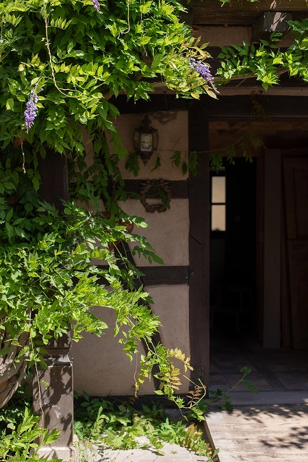 Entrée fleurie d'une maison à colombages, capturant l'authenticité et le charme de La Ferme Marie Hélène.