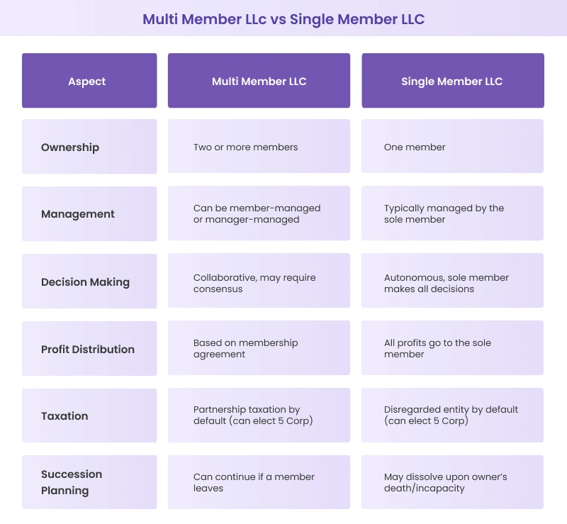 Multi Member LLC vs Single Member LLC