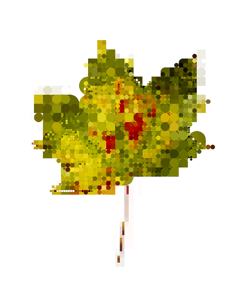 leaf-2-giles-revell-01