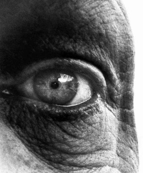 'Eye' Bill Brandt.jpg
