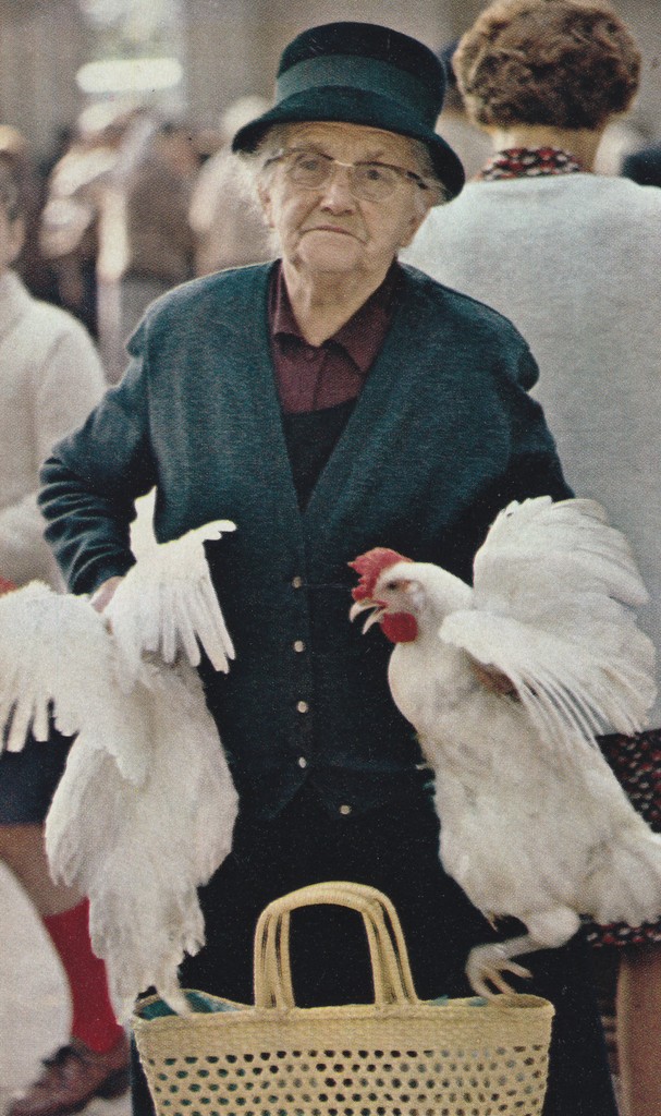 'National-geographic-june-1978-robert-freson