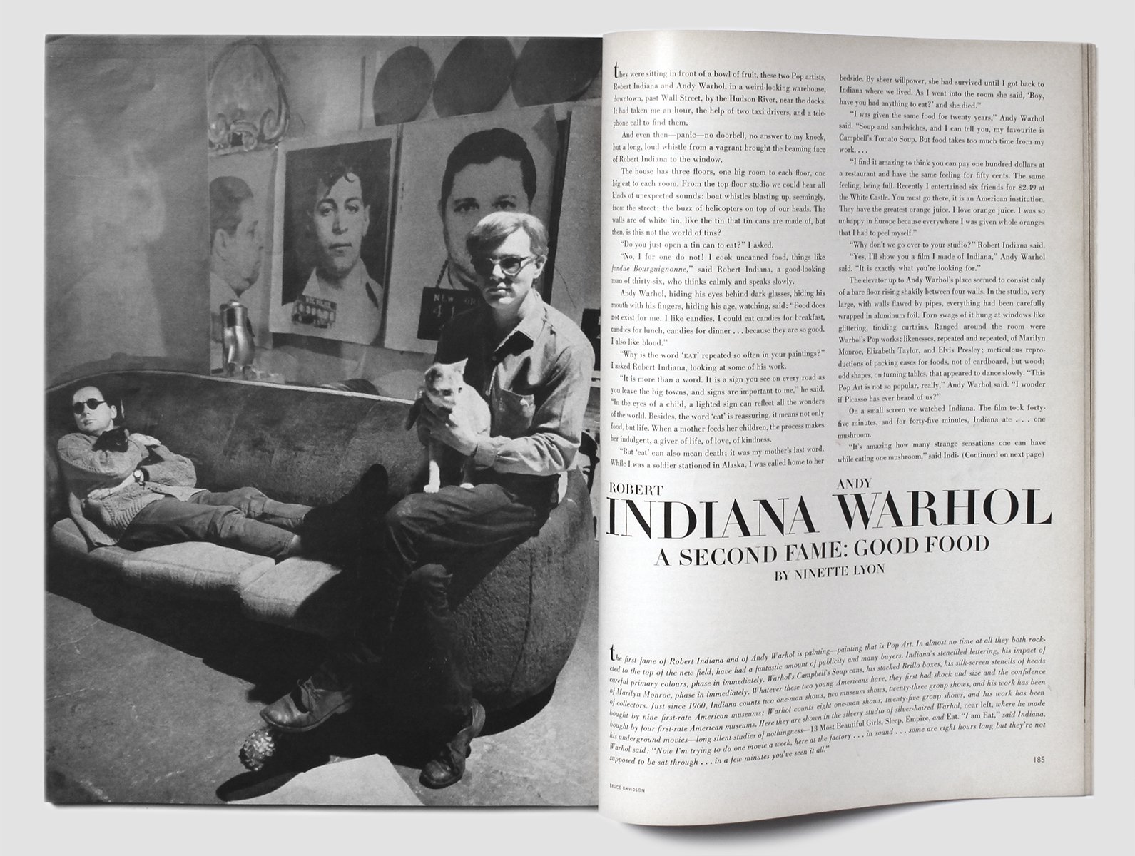 Robert Freson 'Andy Warhol DPS'.jpg