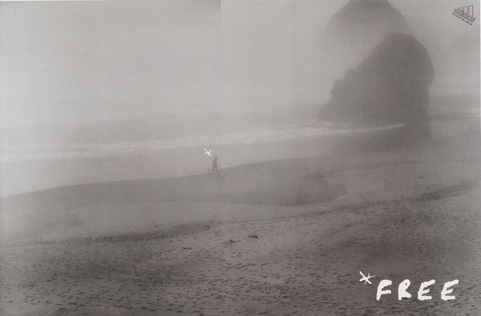 'Free' Adidas, Trail, Leagas Delaney.jpg