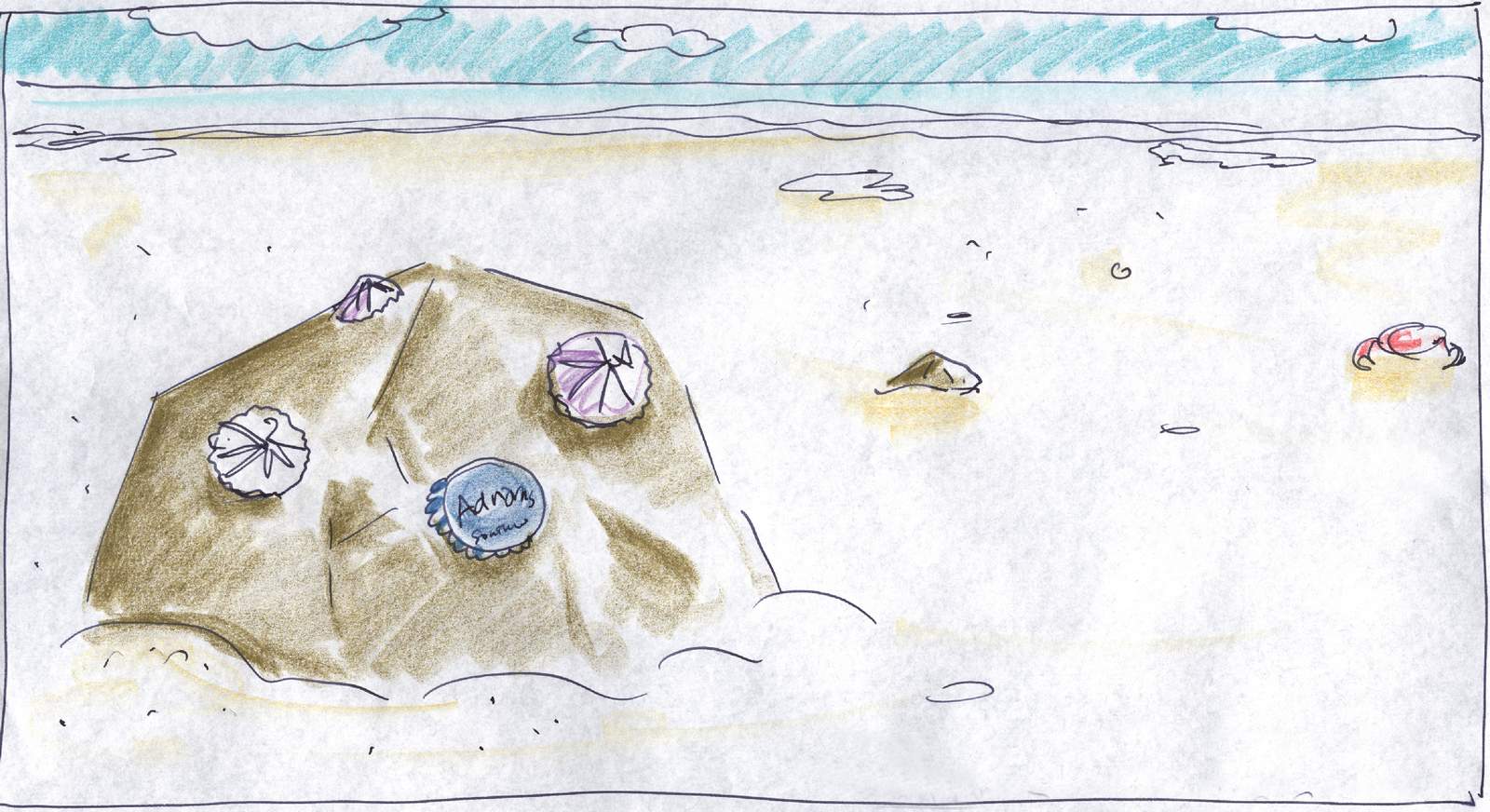 Adnams 'Sand Castle?' Dave Rough