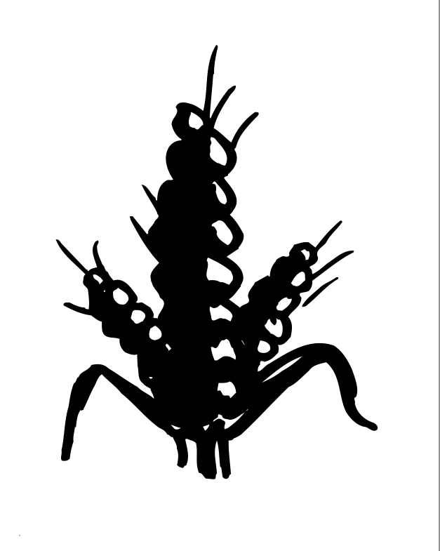 Adnams 'Wheat Ear' Rough, Dave