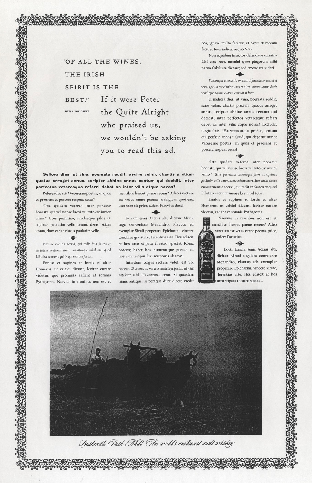 Bushmills B&W Rough, Peter The Quite Alright-01