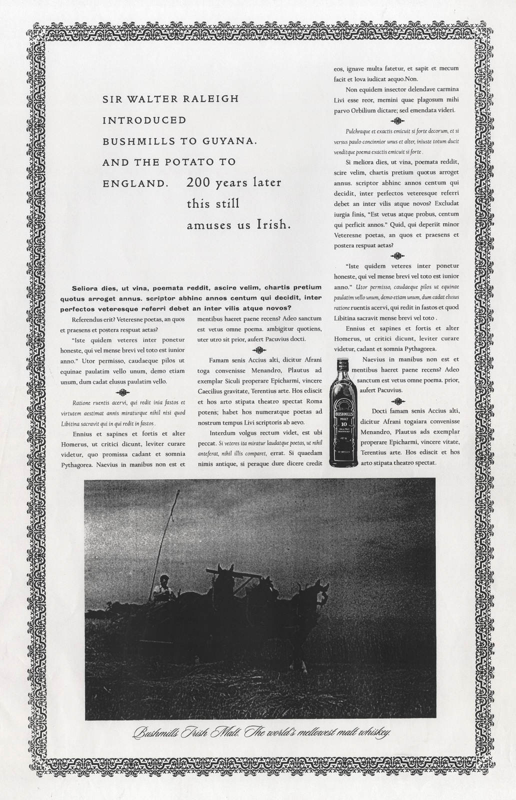 Bushmills B&W Rough 'Raleigh'-01