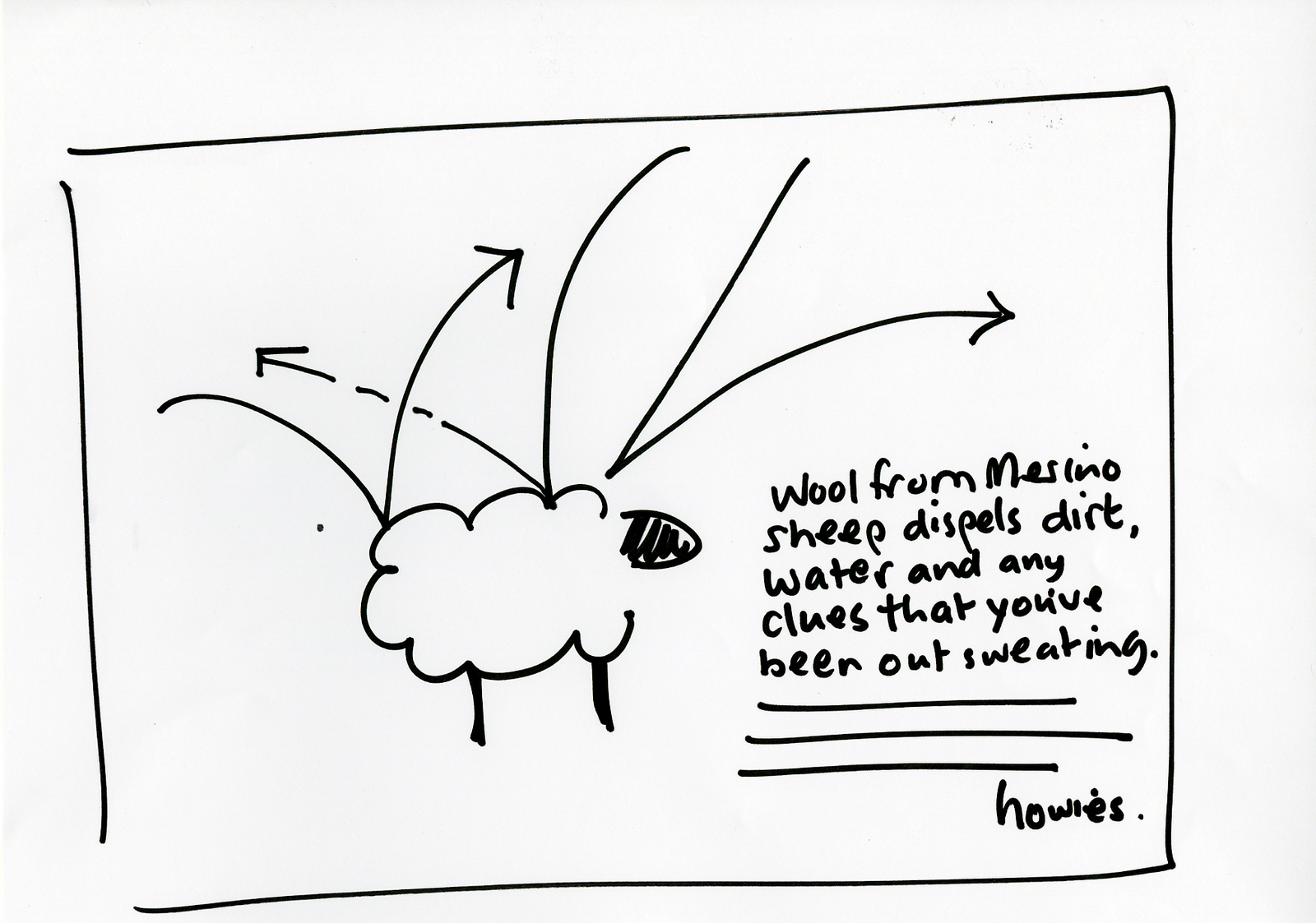 'Wool From Merino' Howies, DHM, Rough.jpg