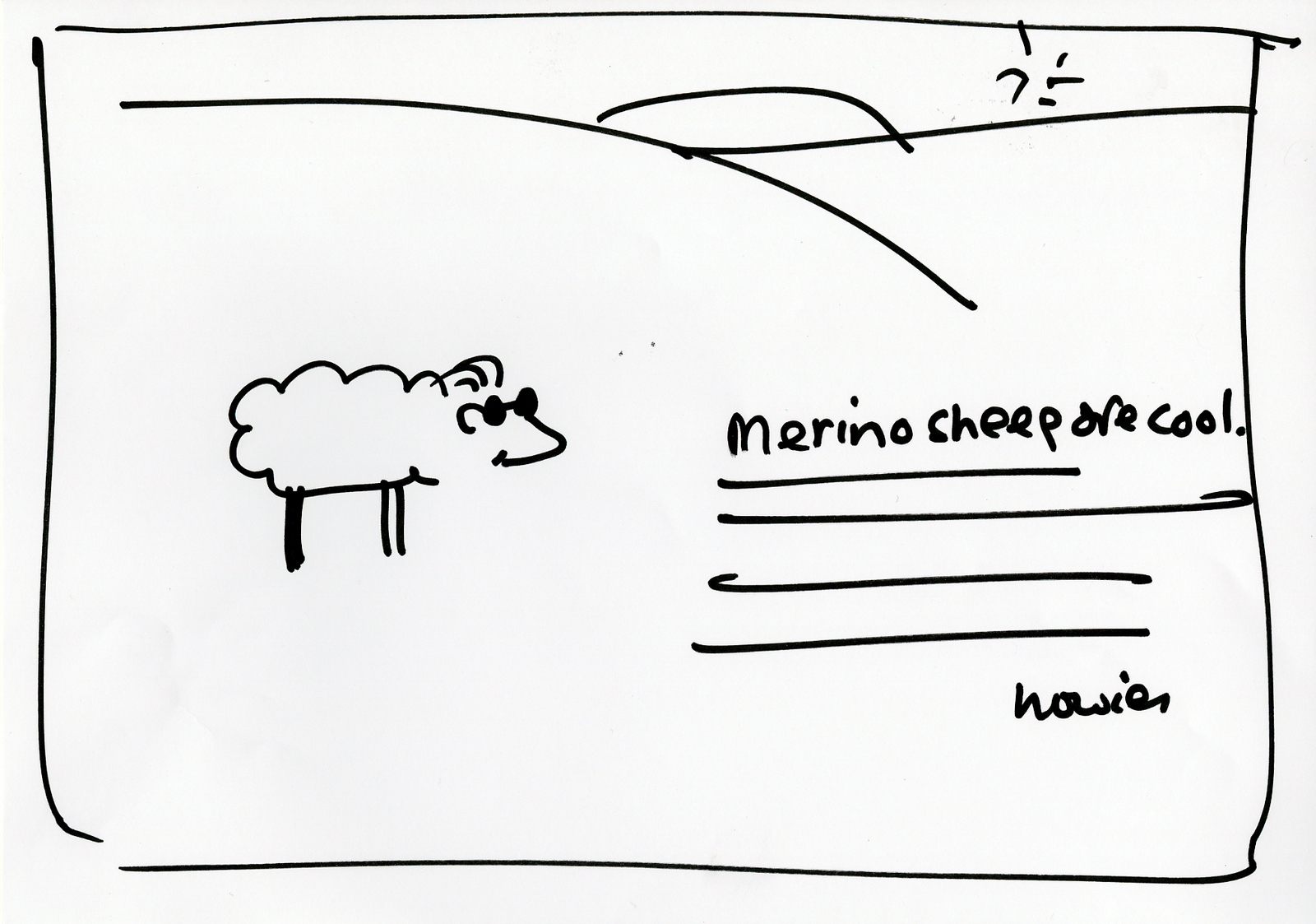 'Merino Sheep' Howies, DHM, Rough.jpg