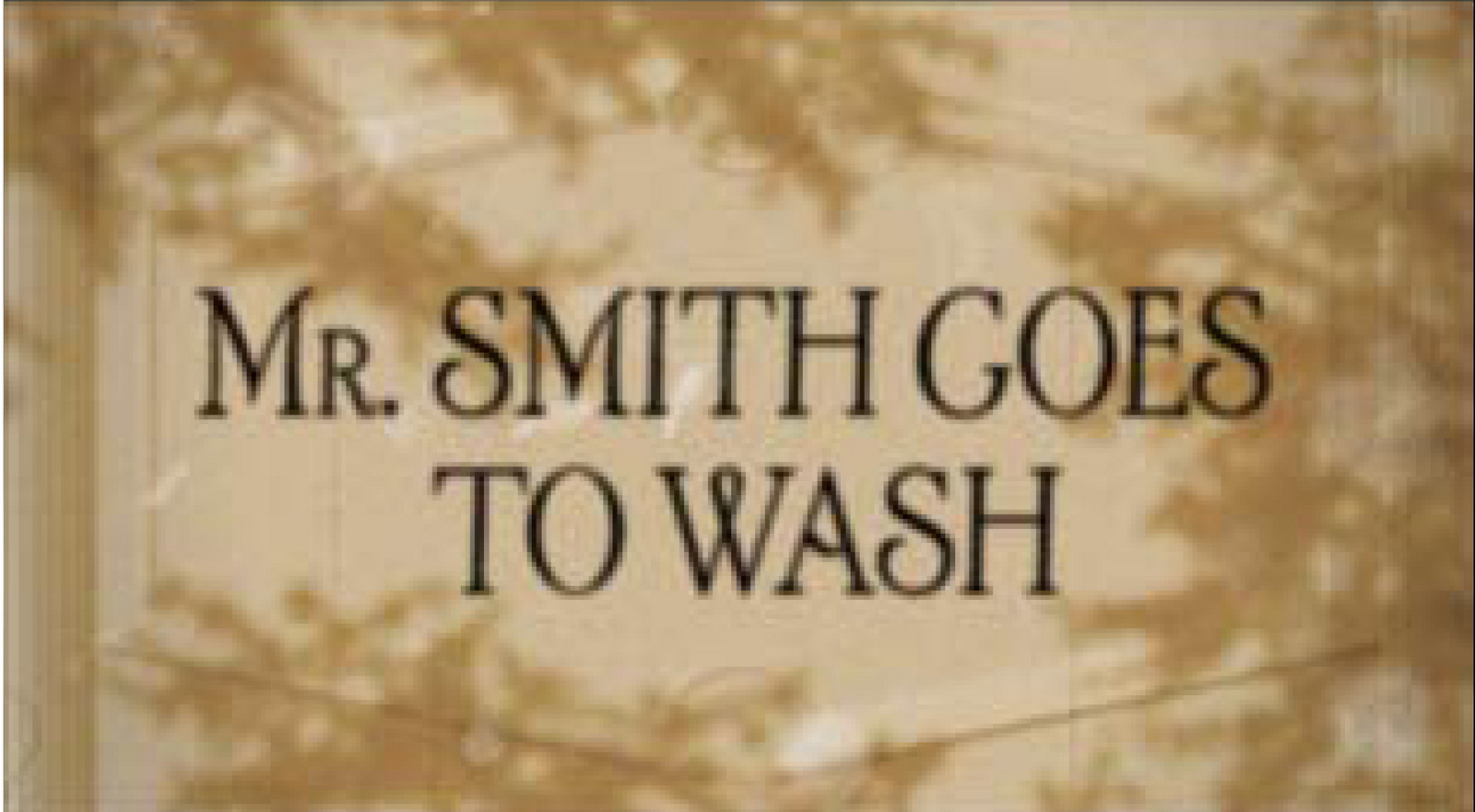 'Mr Smith Single Frame' Therapy Short Film, DHM.jpg