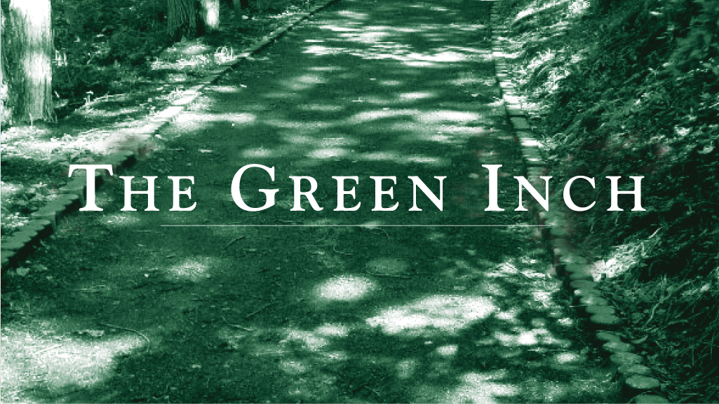 'The Green Inch Single Frame' Therapy Short Film, DHM*.jpg