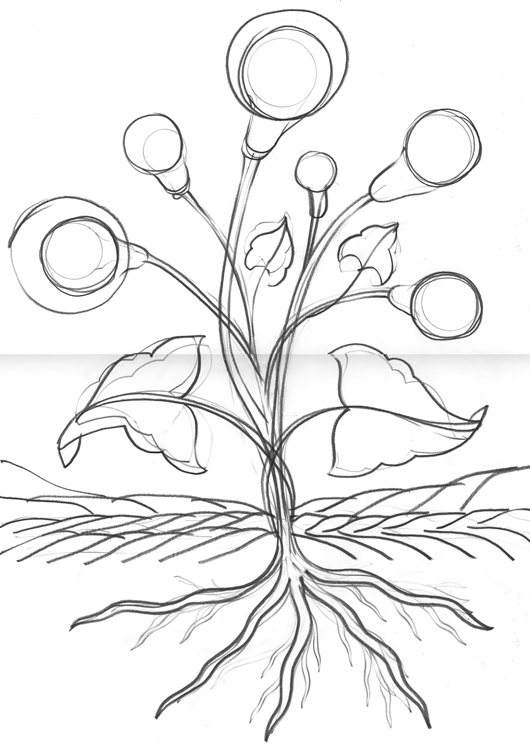 The Economist %22Bulb%22 Sketch
