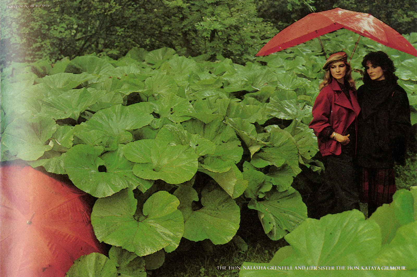Paul Arden, Avedon 'Norman Parkinson' (d)-01