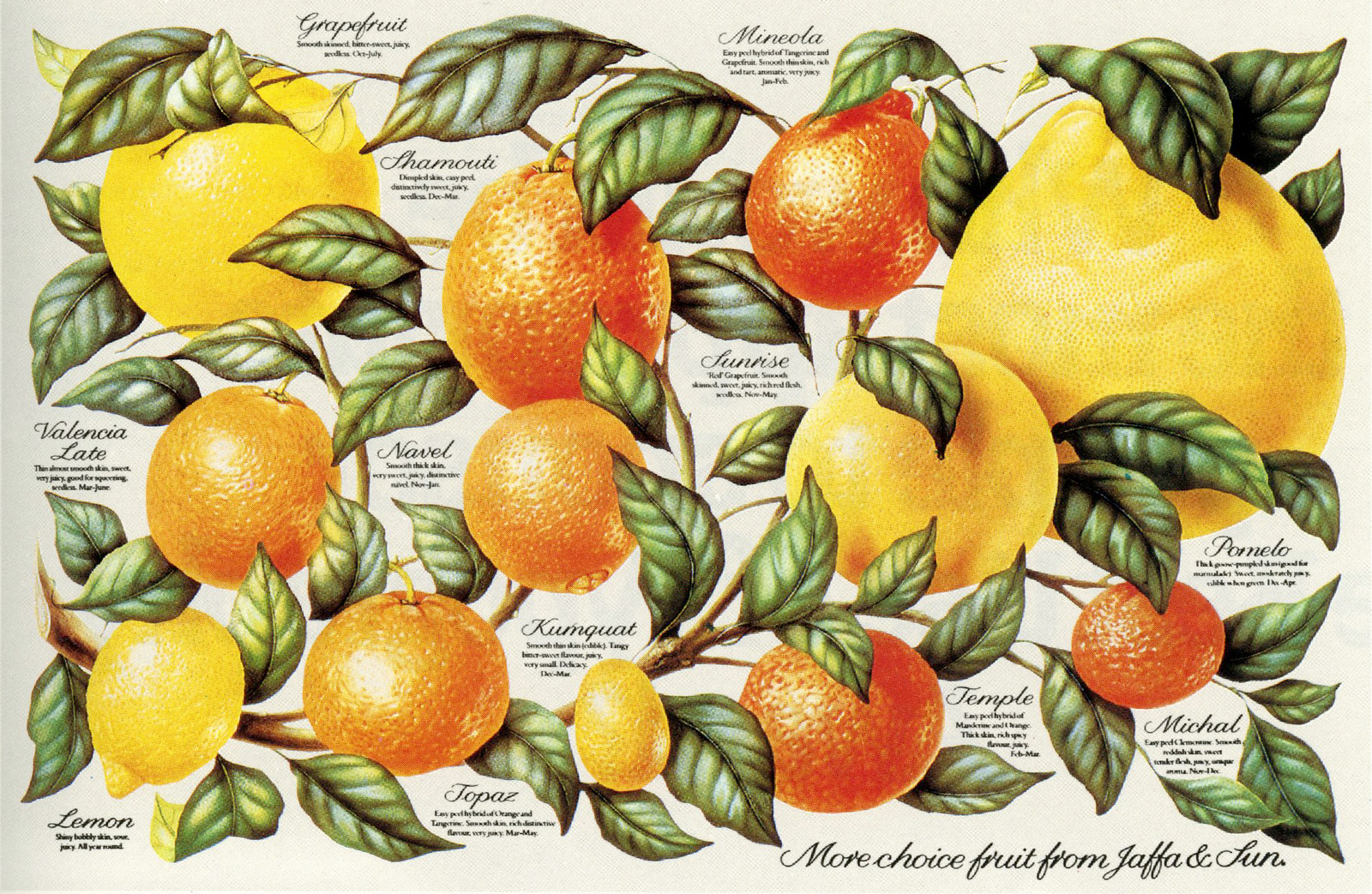 Paul Arden Jaff '& Sun'-01