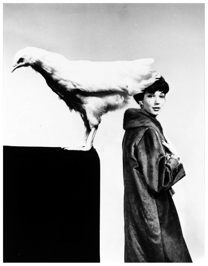 Guy Bourdain - 'Cockeral', 1962