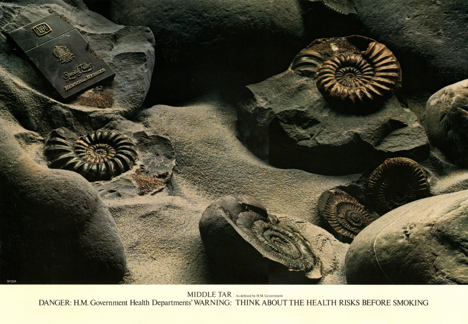 'Fossil*' DPS, B&H, CDP.jpg