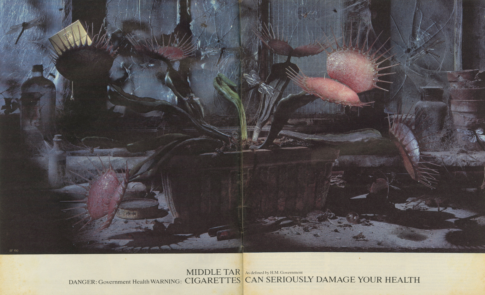 B&H 'Venus Fly Trap' CDP-01