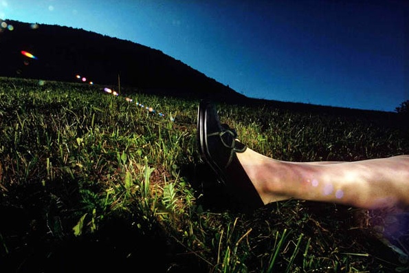 'Fields' Charles Jourdan, Guy Bourdain