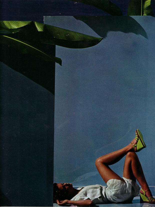 'Palm' Charles Jourdan, Guy Bourdain