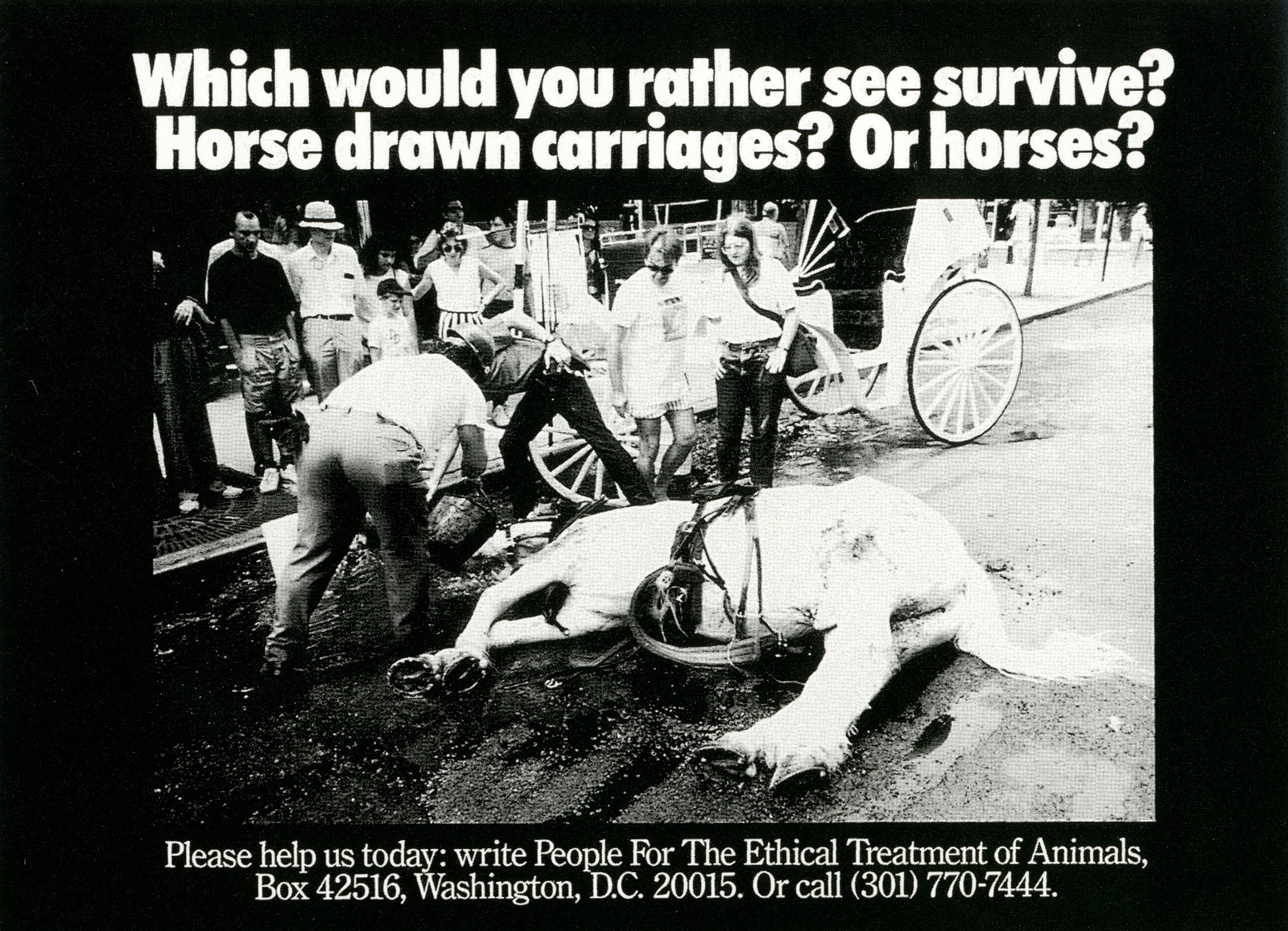 Fallon McElligott, Carriages'-01