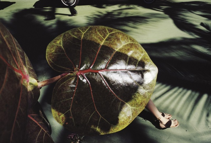 8cb8bc58733443e316036a49d76111f3