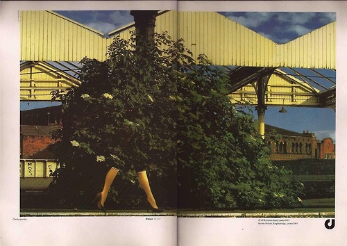 ffe2d381fa49cf6c3d01296f85a2cd54