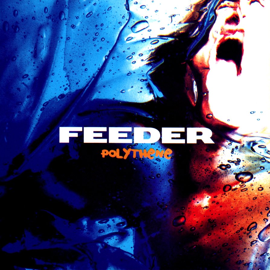 Alan David-Tu Polythene.jpg