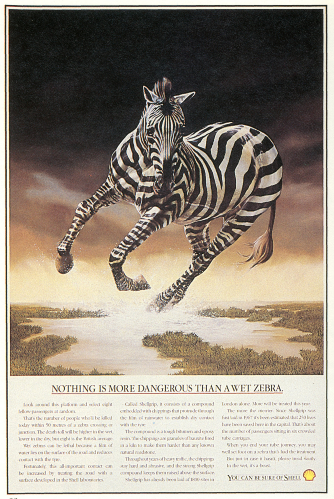 Derrick Hass, Shell 'Zebra'-01