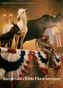 White Horse 'Circus'