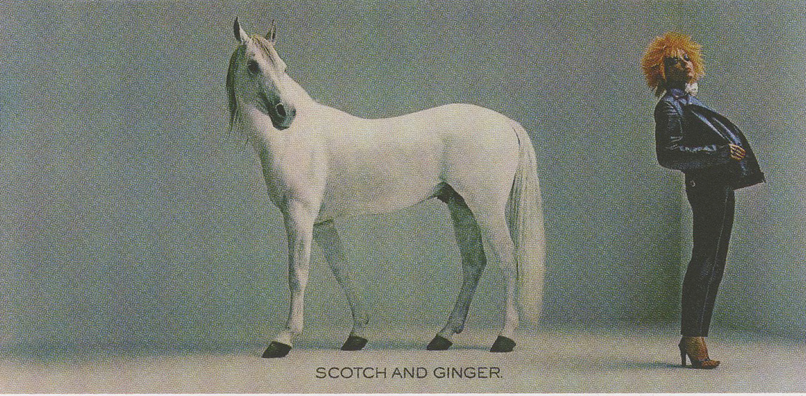 White Horse 'Scotch & Ginger' 2-01