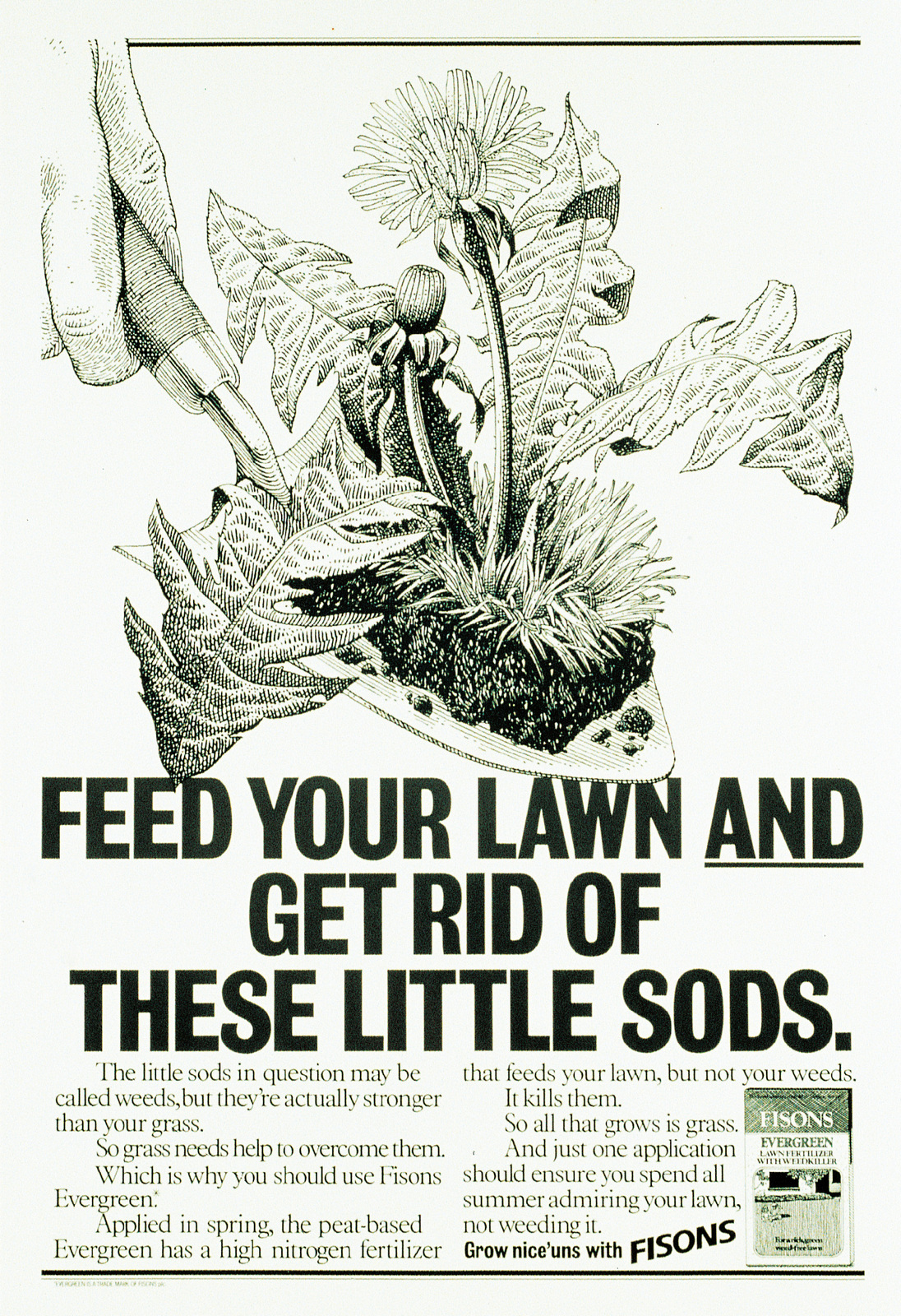 FISONS 'LITTLE SOD' GrubbS-01