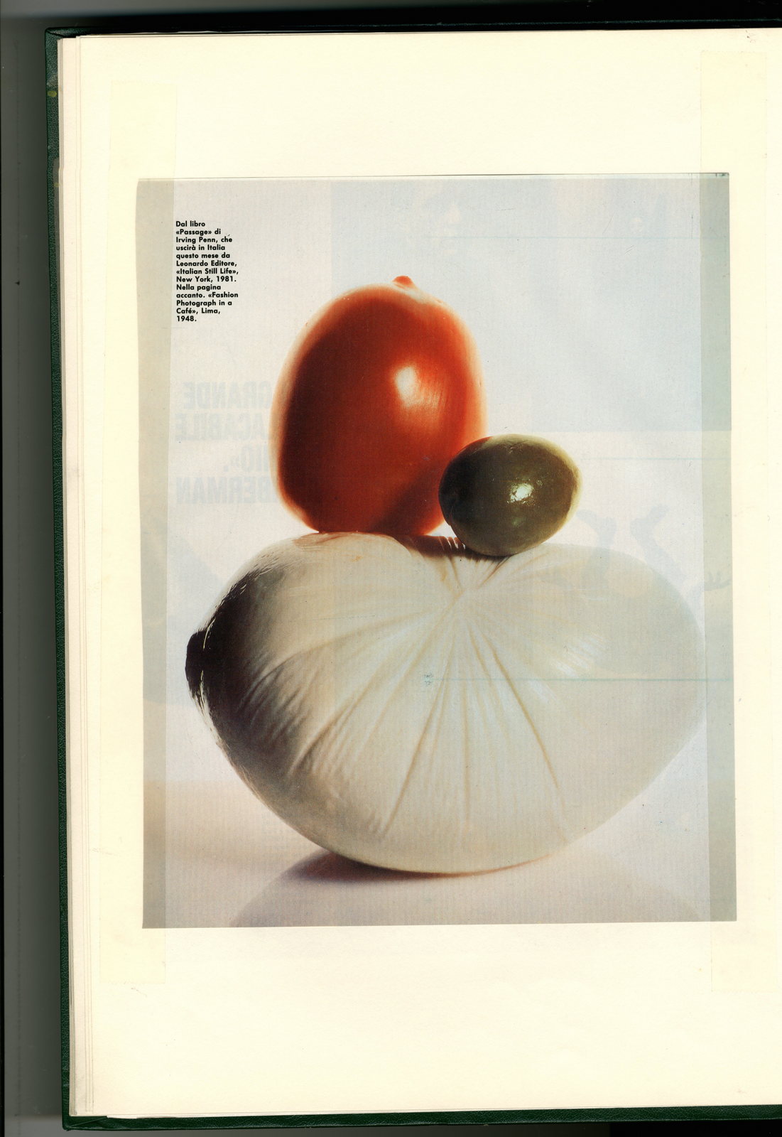 Dave Dye:Irving Penn:Italian Salad