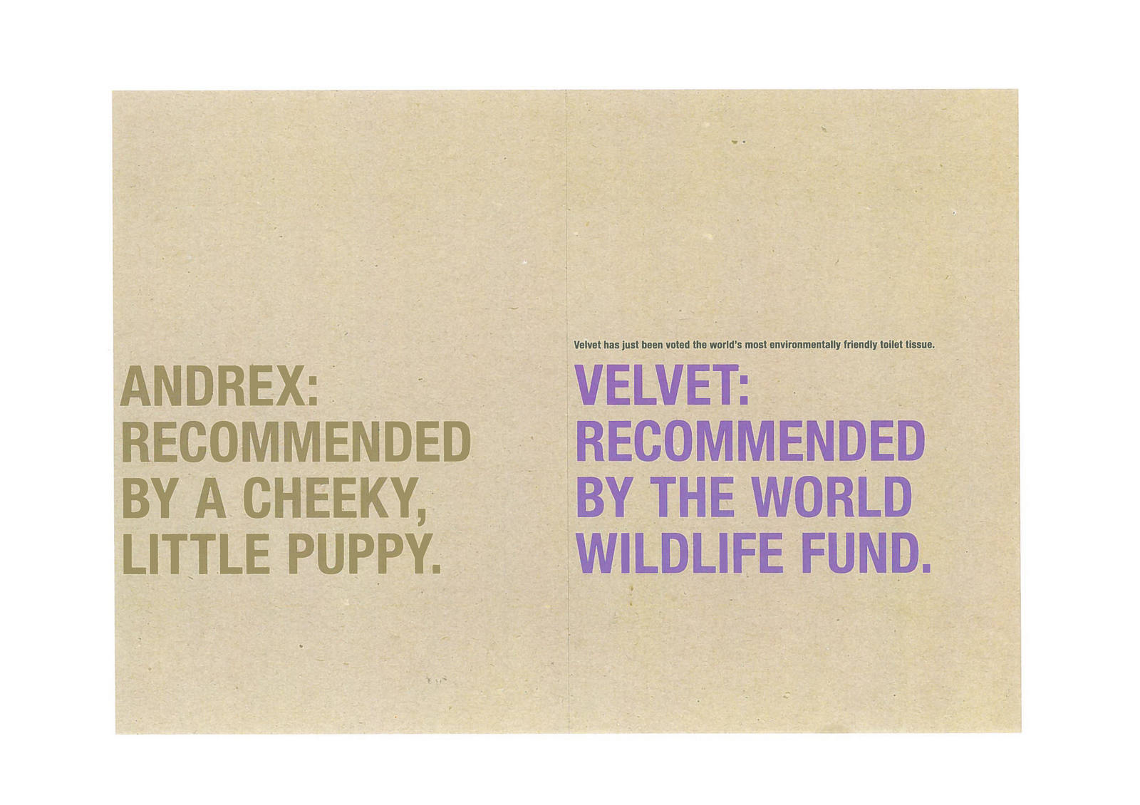 Velvet Roughs_Page_03