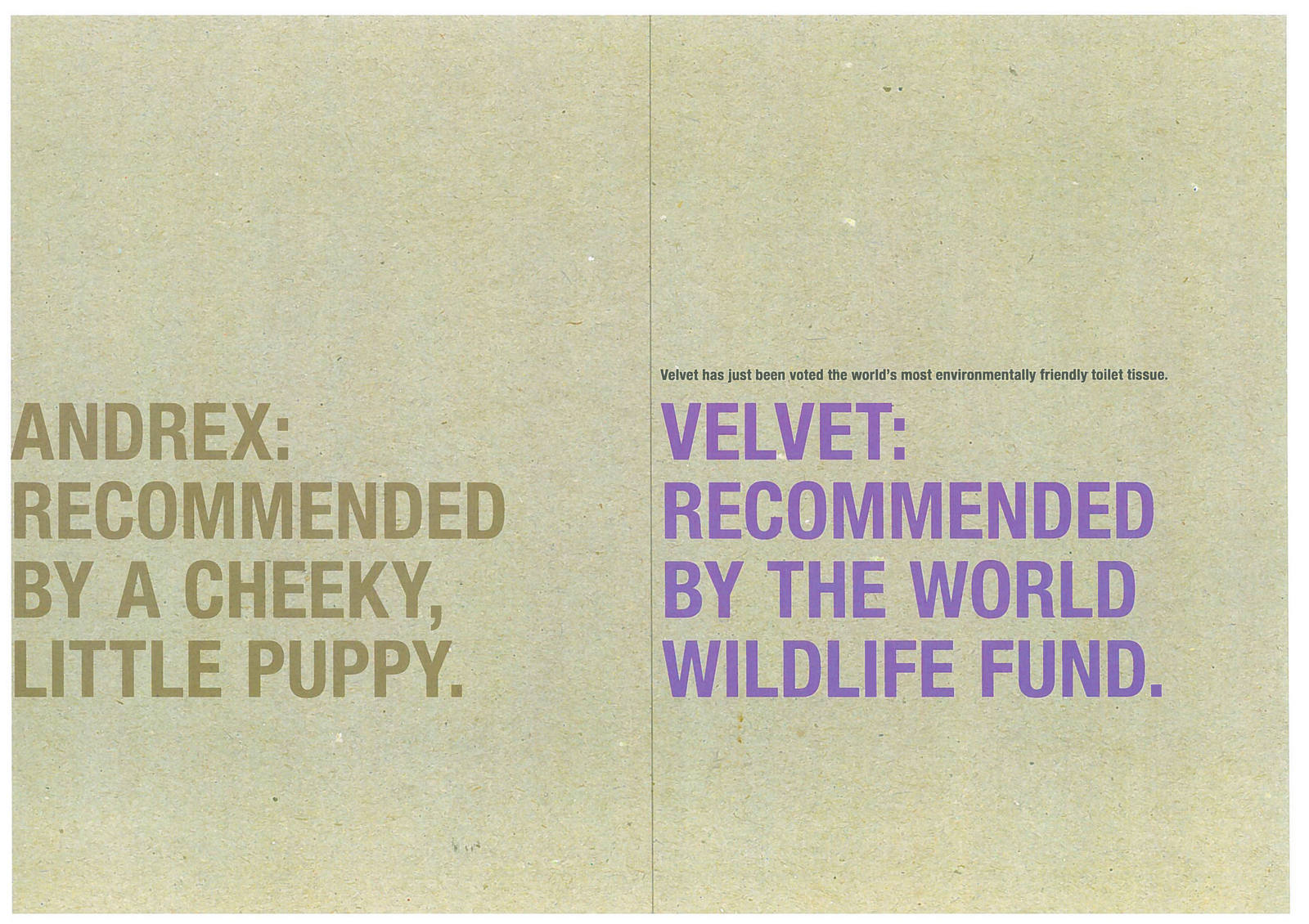 Velvet Roughs_Page_06