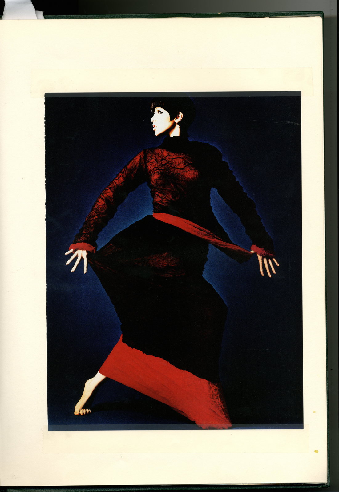 Dave Dye:Satoshi Saikusa: Bob