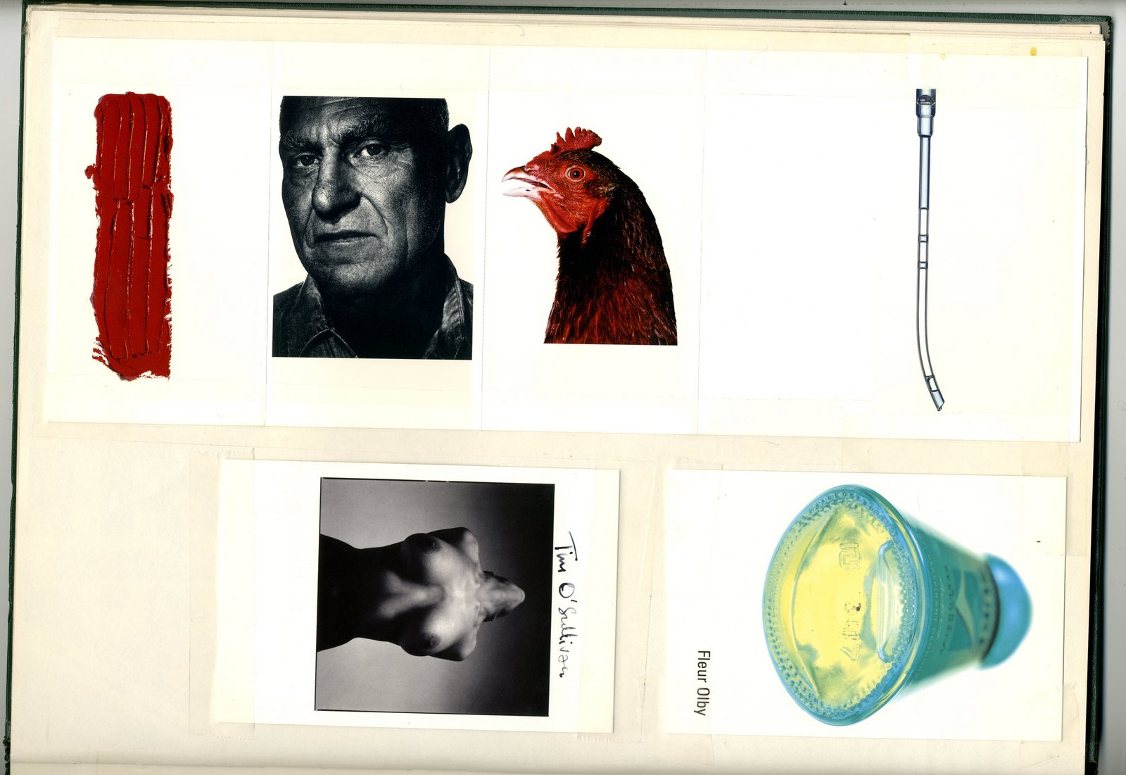 Fleur Olby : Tim O'Sullivan : : Dave Dye