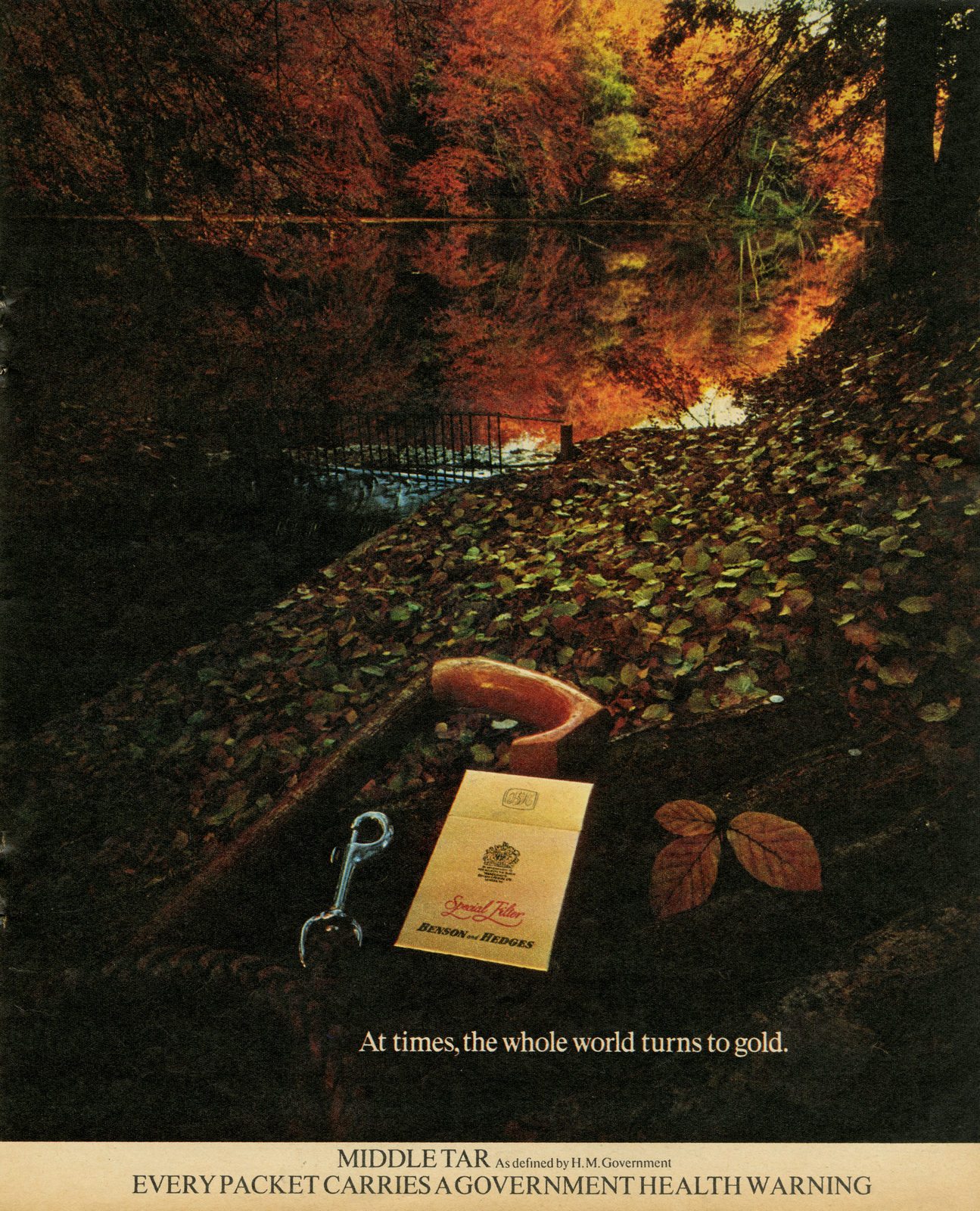 B&H Gold Box - 'Autumn Leaves', CDP-01