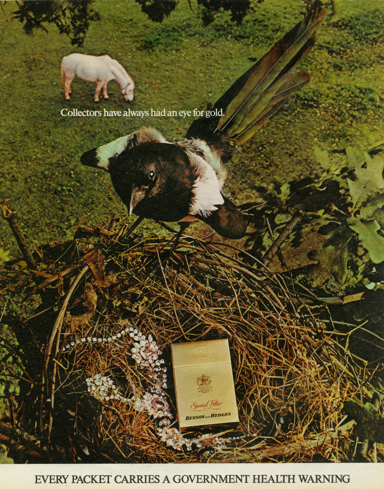 B&H Gold Box - 'Magpie', CDP-01