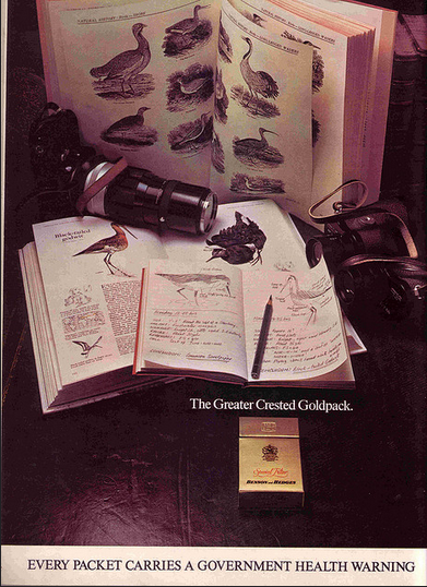 B&H Gold - 'Bird Watching'