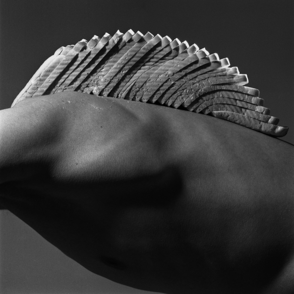 'Bread-back Mountain' Brian Griffin