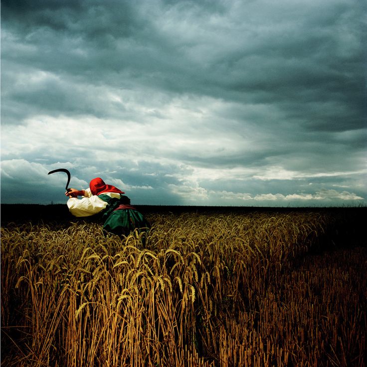 Brian Griffin - Depeche Mode, Wheat