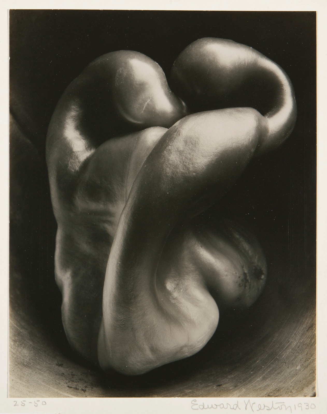 Edward Weston 'Pepper'.jpg