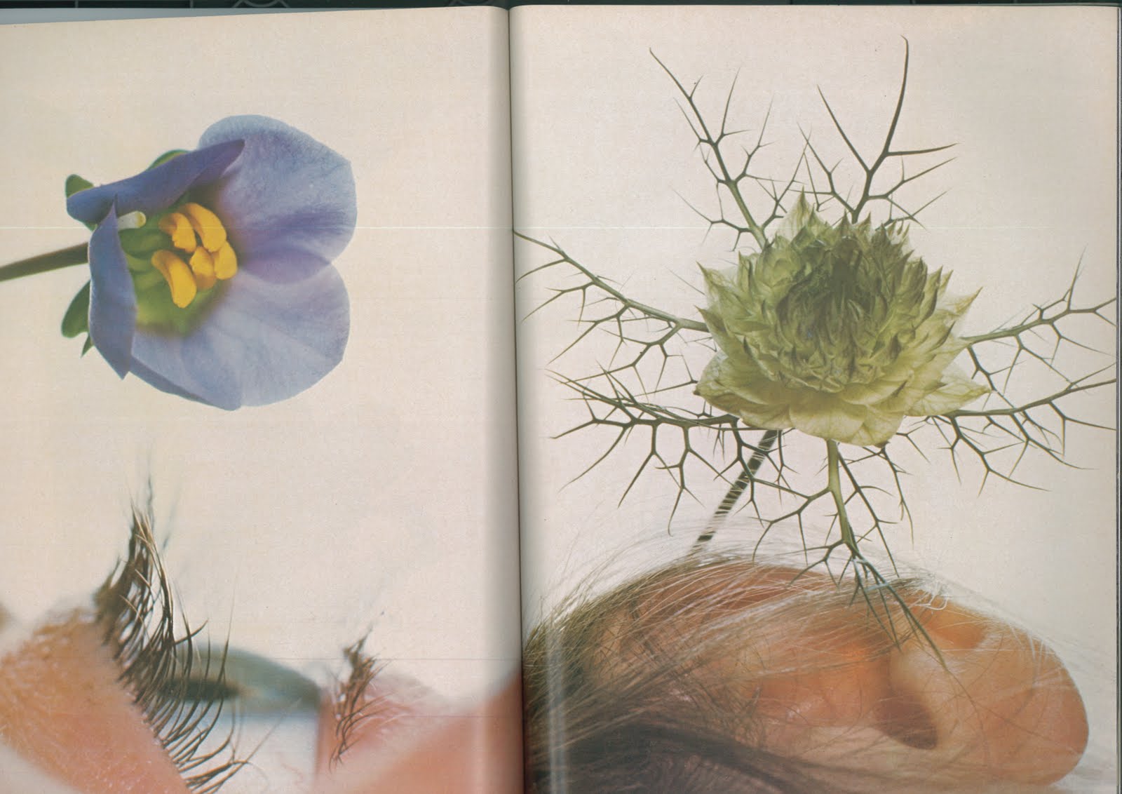 MX-2600N_20110323_141443_007-1